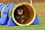 wedstrijd apeldoorn 18-04-2026