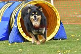 wedstrijd apeldoorn 18-04-2026