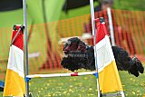 wedstrijd apeldoorn 18-04-2026