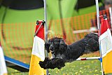 wedstrijd apeldoorn 18-04-2026