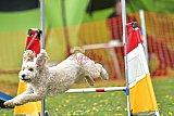 wedstrijd apeldoorn 18-04-2026