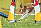 wedstrijd apeldoorn 18-04-2026