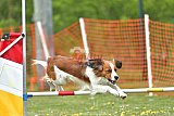 wedstrijd apeldoorn 18-04-2026