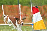 wedstrijd apeldoorn 18-04-2026