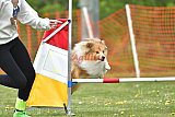 wedstrijd apeldoorn 18-04-2026