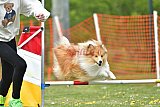 wedstrijd apeldoorn 18-04-2026