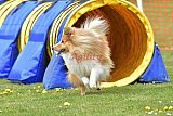 wedstrijd apeldoorn 18-04-2026