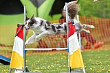 wedstrijd apeldoorn 18-04-2026