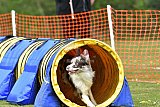 wedstrijd apeldoorn 18-04-2026