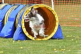 wedstrijd apeldoorn 18-04-2026