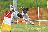 wedstrijd apeldoorn 18-04-2026