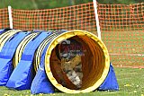 wedstrijd apeldoorn 18-04-2026