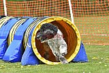 wedstrijd apeldoorn 18-04-2026