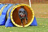 wedstrijd apeldoorn 18-04-2026