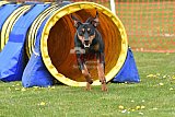 wedstrijd apeldoorn 18-04-2026
