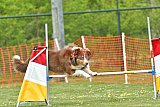 wedstrijd apeldoorn 18-04-2026