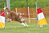 wedstrijd apeldoorn 18-04-2026