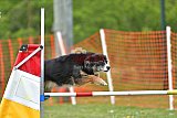 wedstrijd apeldoorn 18-04-2026