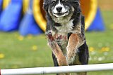 wedstrijd apeldoorn 18-04-2026