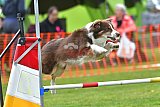 wedstrijd apeldoorn 18-04-2026