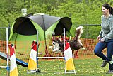 wedstrijd apeldoorn 18-04-2026