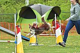 wedstrijd apeldoorn 18-04-2026