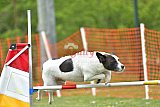 wedstrijd apeldoorn 18-04-2026