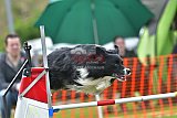 wedstrijd apeldoorn 18-04-2026