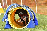 wedstrijd apeldoorn 18-04-2026