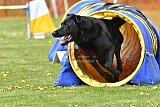 wedstrijd apeldoorn 18-04-2026