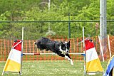 wedstrijd apeldoorn 18-04-2026