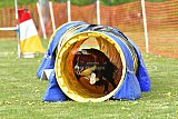 wedstrijd apeldoorn 18-04-2026