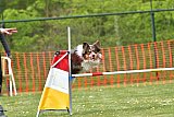 wedstrijd apeldoorn 18-04-2026