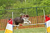 wedstrijd apeldoorn 18-04-2026