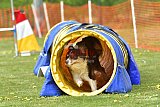 wedstrijd apeldoorn 18-04-2026