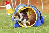 wedstrijd apeldoorn 18-04-2026