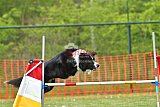 wedstrijd apeldoorn 18-04-2026