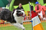 wedstrijd apeldoorn 18-04-2026