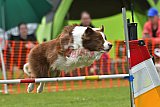 wedstrijd apeldoorn 18-04-2026
