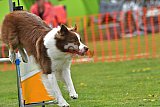 wedstrijd apeldoorn 18-04-2026