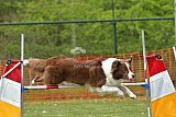 wedstrijd apeldoorn 18-04-2026