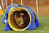 wedstrijd apeldoorn 18-04-2026