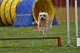 wedstrijd apeldoorn 18-04-2026