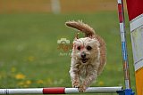 wedstrijd apeldoorn 18-04-2026