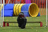 wedstrijd apeldoorn 18-04-2026