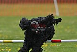 wedstrijd apeldoorn 18-04-2026
