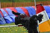 wedstrijd apeldoorn 18-04-2026