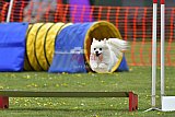 wedstrijd apeldoorn 18-04-2026