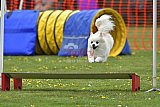 wedstrijd apeldoorn 18-04-2026