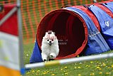 wedstrijd apeldoorn 18-04-2026